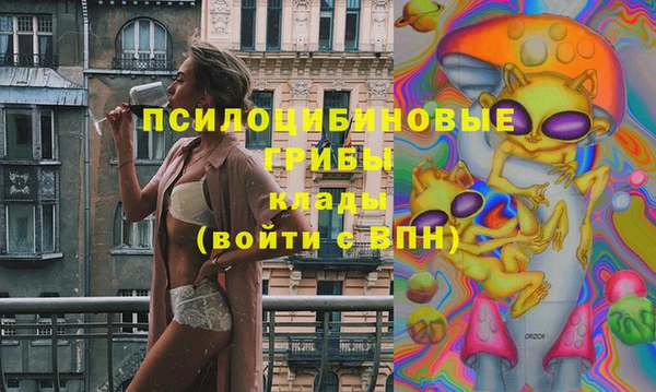 a pvp Михайловск