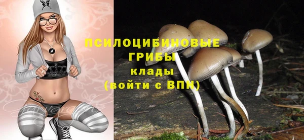 винт Михайловка