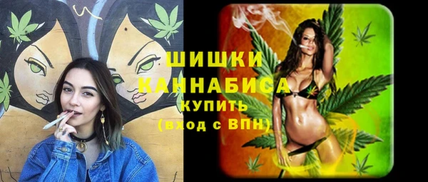 ешки Медвежьегорск