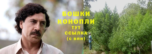 спайс Мегион
