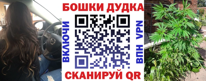 сайты даркнета формула  Николаевск  Каннабис индика 